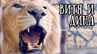 ВИТЯ и ДИНА всегда радуют! Несколько фрагментов встречи! Life of #lions​