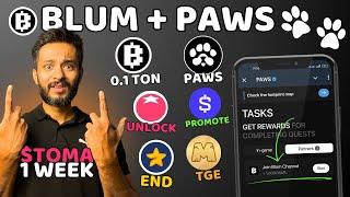 Tomarket Listing After 1 Week | PAWS & BLUM Collab | Major Farming End | Tomarket Withdrawal