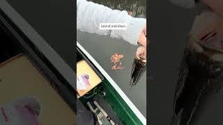 3 Essential Tips for Fishing from a Small Boat!