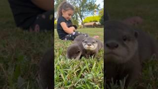 Are There Cuter #Animals on this planet? Come visit ours! Book now at AnimalEDventures.com