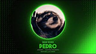 Jaxomy x Agatino Romero ft. Raffaella Carrà - Pedro (W&W Remix)