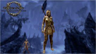 Elder Scrolls Online: My Third Adventure - My Warden Joins the Fight!