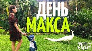 Максовский День. Чем заняться с ребенком на Бали? Bali Bird Park,  Peek a Boo