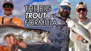 The BIG Trout Formula!