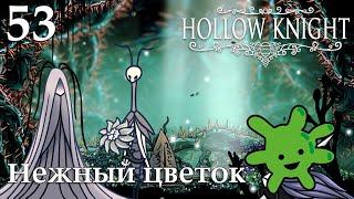 #53 Как донести Нежный цветок в первый раз | Прохождение игры Hollow Knight