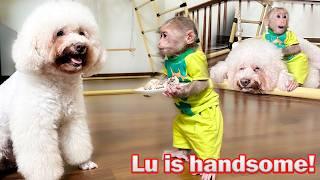 Lala is surprised and excited about Lu's new look after getting beauty care at the spa!