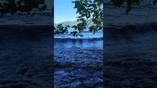 "If there is magic on this planet, it is contained in water" #LakeCrescent #pnw #waves #wa #asmr