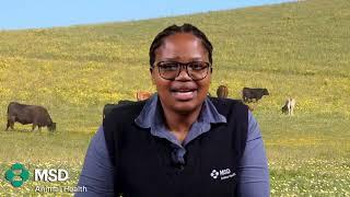 Dr Princess Moswa-Kato on VideoVet