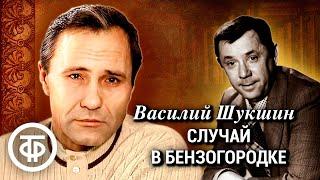 Василий Шукшин. Случай в бензогородке. Радиоспектакль по рассказу "Гринька Малюгин" (1964)