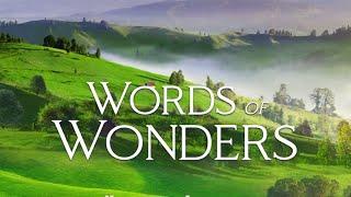 WORDS OF WONDERS ( WOW ) ( 91 -92-93-94-95-96-97-98-99 ) bölümler çözümü