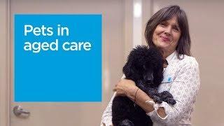 Pets in Aged Care: The power of cuddles | Bupa