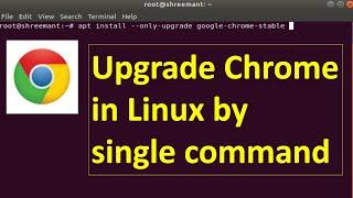 Upgrade Chrome in Linux | by one command only