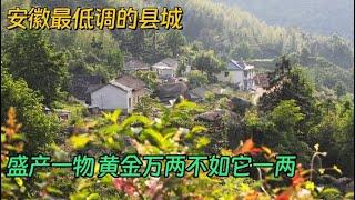 安徽最低调的县城，拥有世界级名山，山里还盛产一物，黄金万两不如它一两【解密中国】