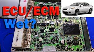 Easy Steps to Clean ECU/ECM on Your Acura TSX