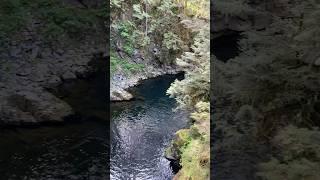 Nature therapy  BC  ©️ @Pacificnorthwestkate