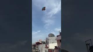 1 tawa  kite flying #trending #viral #shortvideo #flyingbigkites #punjabisong #basant