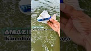 Diy kreatif ikan elektrik barang bekas |  Electric powered fish #diy #creative #tutorial #toys #toy