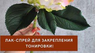 Лак-Спрей для закрепления тонировки.