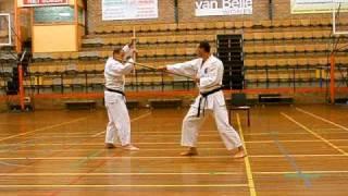 Shuji comprehensive 5 ryu kyu kobujutsu
