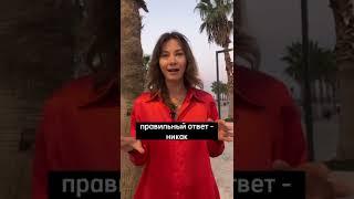 Как наказать собаку за непослушание? #shorts