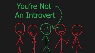 You're Not an Introvert