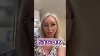 КАРТА ДНЯ#иннатаро