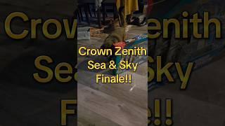 Crown Zenith Sea & Sky Opening Finale! #pokemonpackopening #pokemoncards #crownzenith