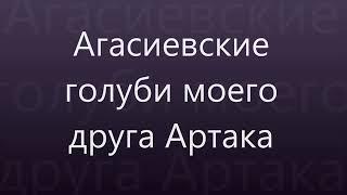 Агасиевские бойные голуби