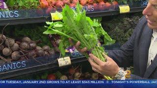 Tony's Tip Of The Day: Dandelion Greens