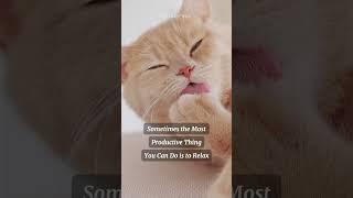 Quote of The Day - #cat #memes #quotes #love #cute #whatsappstatus