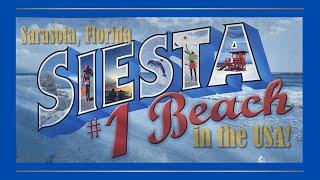 Siesta Key Beach: The Ultimate Guide to Florida's #1 Beach