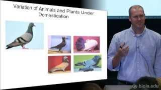 [BIOS 332] Introduction to Genetics - Jason Tresser