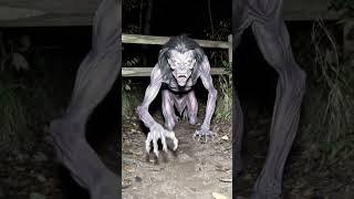 "Don't Watch This Alone... What Was That in the Forest?" #horror #monster #creepy #shorts