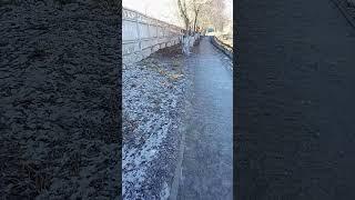 Забордың артында аямай сікті 