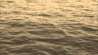 Mindfulness Guided Meditation - 5 Minutes