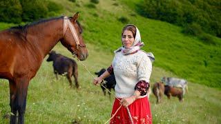 IRAN Nomads Adventure: Migration to Mountains and Green Meadows