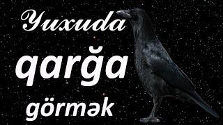 Yuxuda qarğa görmək  Geniş #yuxuyozma - SƏSLİ YUXU YOZMALARI