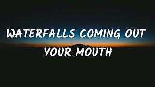 Glass Animal - Waterfalls Coming Out Your Mouth (Lyrics)