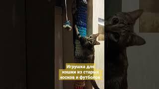 Вторая жизнь рваных носков и футболок в виде когтеточки для кошки