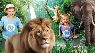 Safari | Music Video