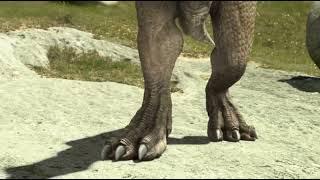 Suggested feet video: Speckles the Tarbosaurus