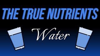 Water - The True Nutrients