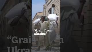 Learn about Grain from Ukraine initiative - humanitarian aid programme ensuring global food security