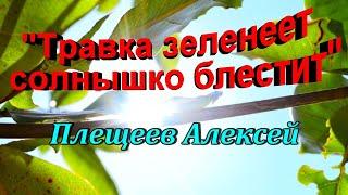 Стихотворение "Травка зеленеет солнышко блестит"  Плещеев  Алексей