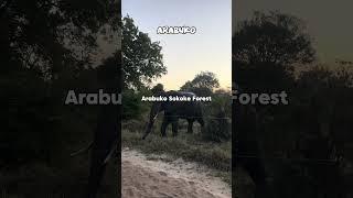 Watamu Kenya Itinerary