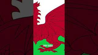 Wales VS USA