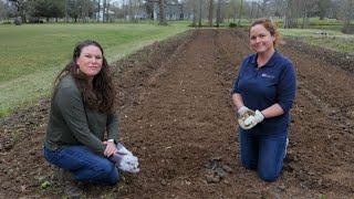 Get It Growing: Alternative fertilizers for vegetable gardening