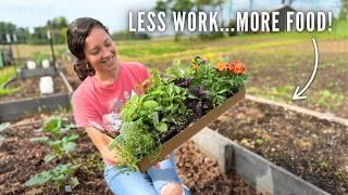 The Secret for BIGGER HARVESTS, Less Weeds, AND Less Work