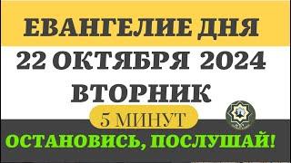 22 ОКТЯБРЯ ВТОРНИК ЕВАНГЕЛИЕ ДНЯ 5 МИНУТ АПОСТОЛ МОЛИТВЫ 2024 #мирправославия