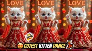 Cat videos funny dance  Videos for cats | बिल्ली डांस | Funny cat Dance #funny #dancingcat #cat